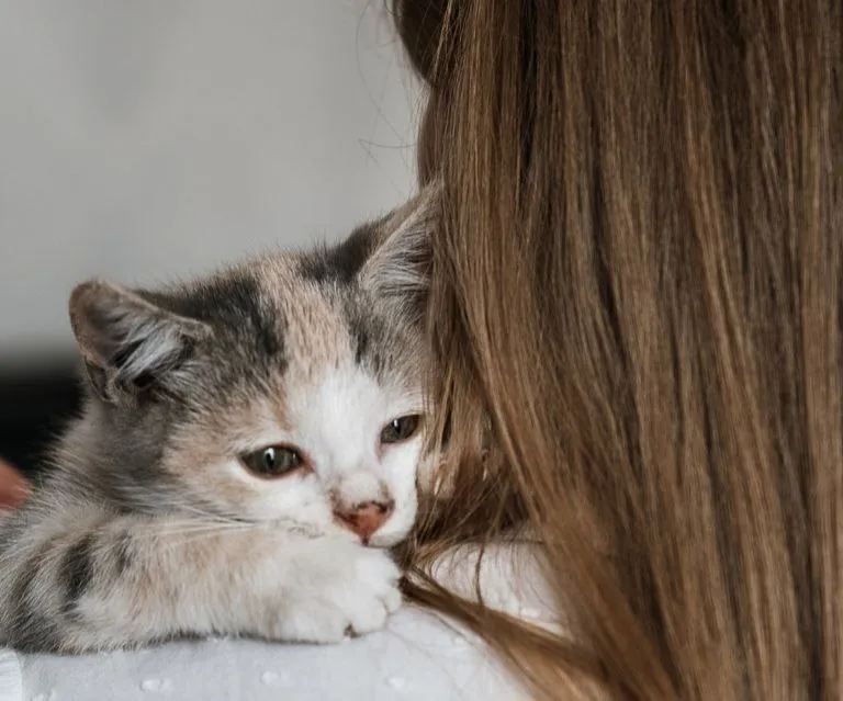 Veterinaria con gato